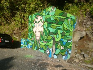 Akatarawa Greenman 010